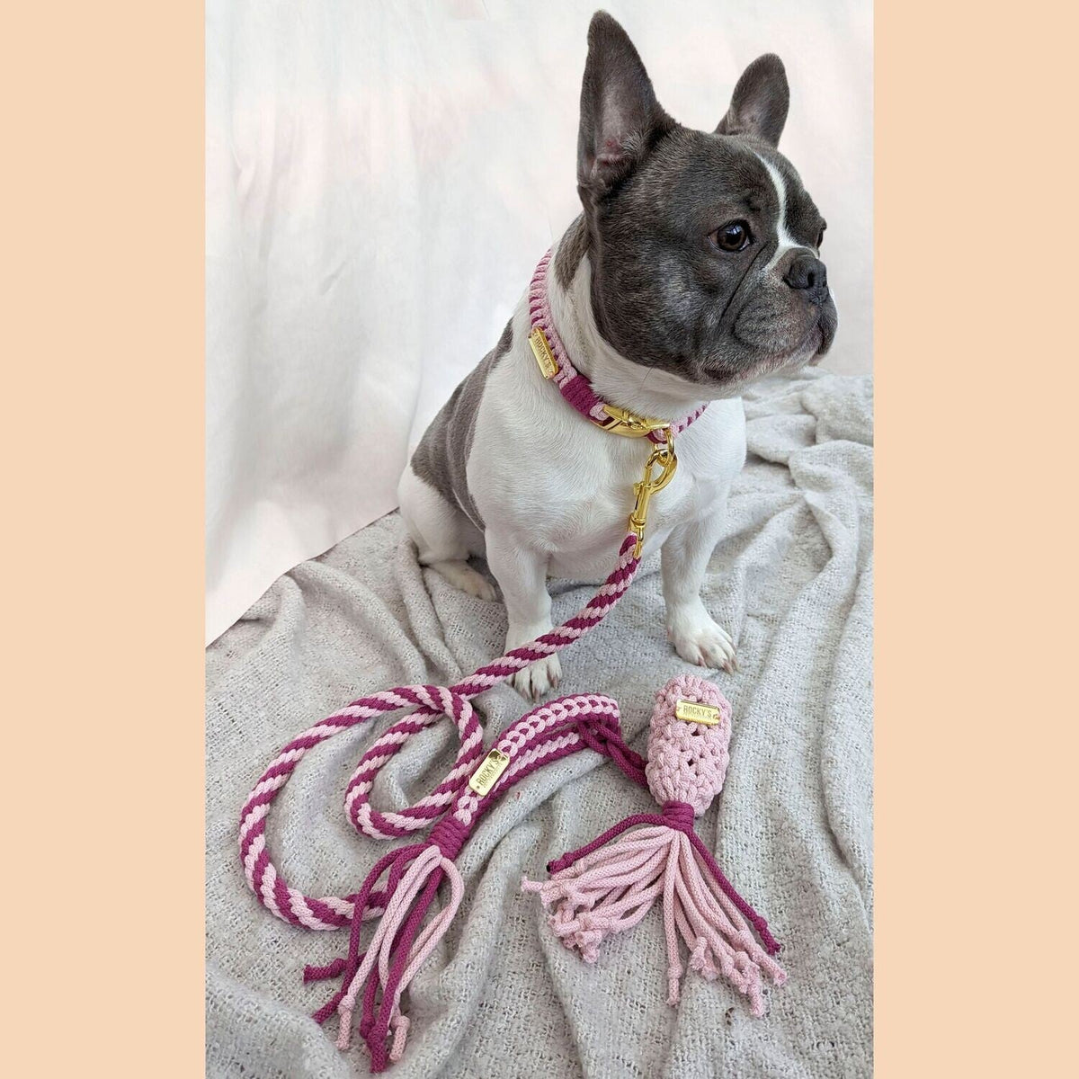 Make Your Own Dog Collar Craft Kit - PINK