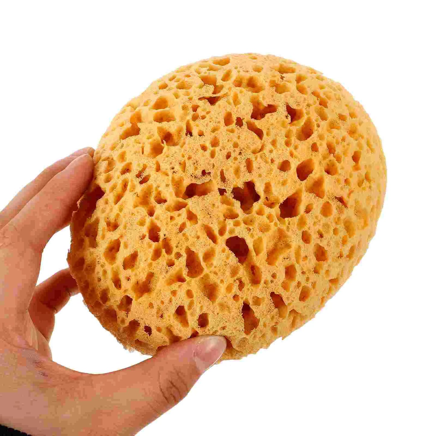 S304e8a494ae54922a3f5b38089fbf43ft