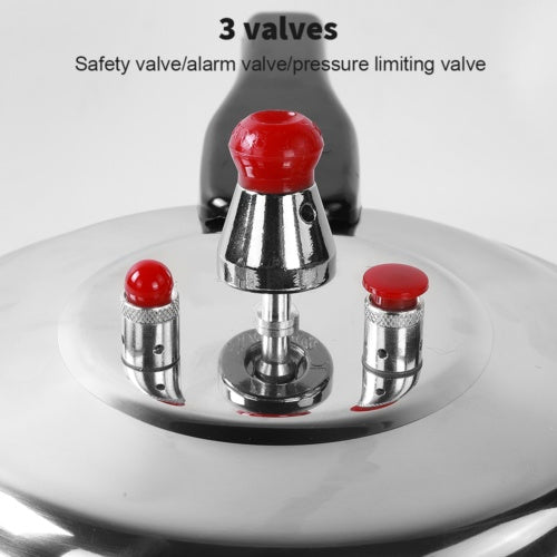 Pressure Cooker 7LHome Dual Handle Aluminum  Kitchen Catering Cookware UK Luxe By Sarah